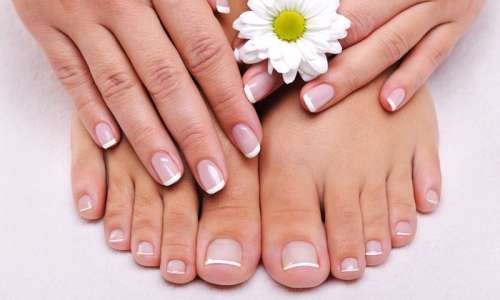 One Regular Manicure and Spa Pedicure or One No-Chip Manicure or Pedicure at Sonia Salon (Up to 50% Off)